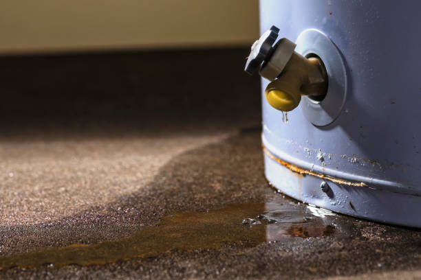 Best Sewage cleanup and water damage restoration  in Seeley, CA