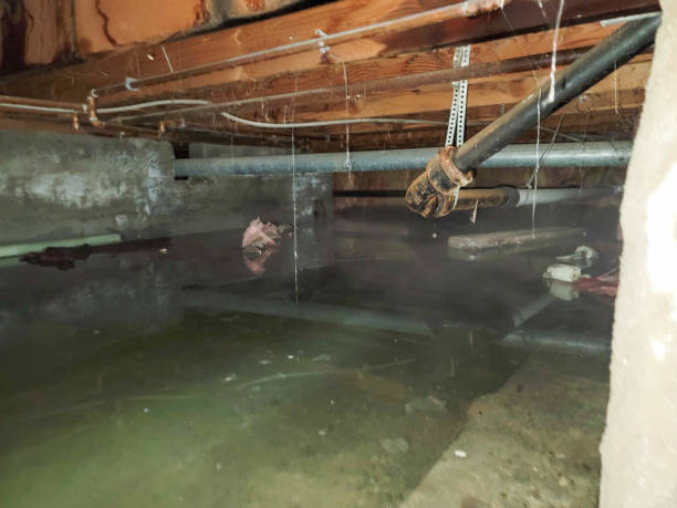 Best Residential water damage restoration  in Seeley, CA