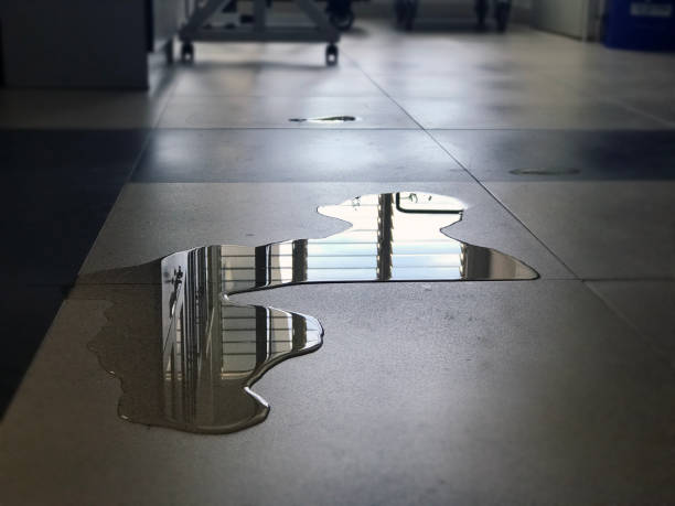 Best Local water damage restoration  in Seeley, CA
