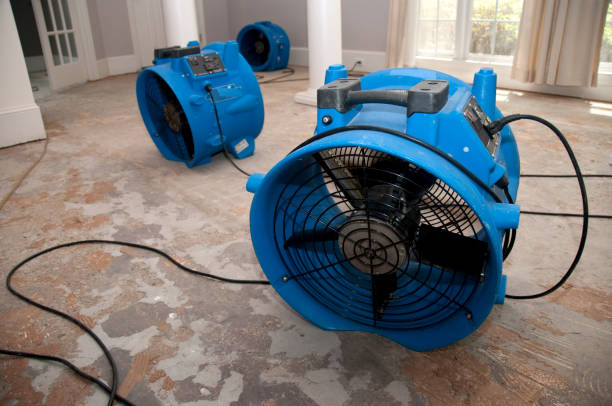 Best Flooded house restoration  in Seeley, CA