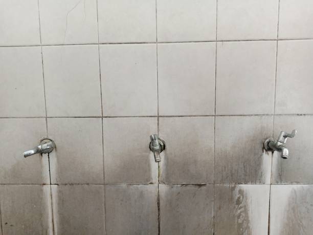 Best Water damage cleanup near me  in Seeley, CA
