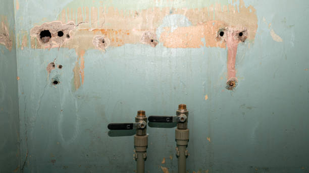 Best Flood damage cleanup  in Seeley, CA