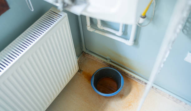 Best Basement water damage restoration  in Seeley, CA